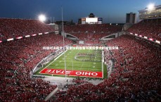 【九游体育登录入口】终极对决前夕，佩雷拉的执着与奥拉罗尤的自信交锋